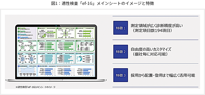 図1適性検査「ef-1G」メインシートのイメージと特徴
