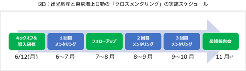 図3　出光興産と東京海上日動の「クロスメンタリング」の実施スケジュール