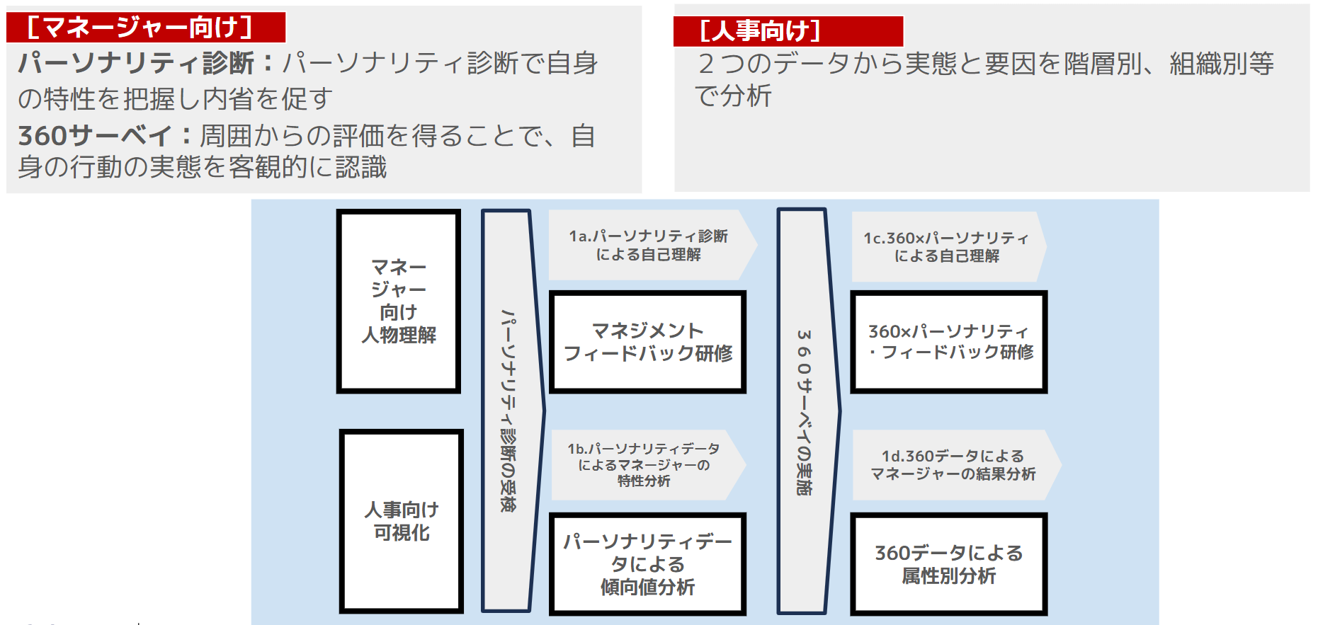 management_support_P_plan