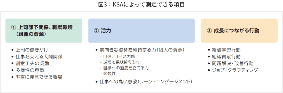 図3 KSAによって測定できる項目