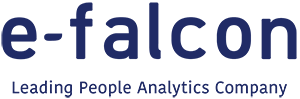 e-falcon Leading Analytics Company